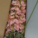 6 PCS Light Pink Delphinium Artificial Flowers, Long Stem Artificial Flowers with Bendable Stems, Silk Larkspur for Tall Vase Home Garden Wedding Table Decor
