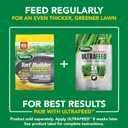 Scotts Turf Builder Weed and Feed5 - Weed Killer Plus Lawn Fertilizer, Lawn Weed Killer, Controls Dandelion and Clover, Grass Fertilizer for Up to 4,000 sq. ft., 11.32 lb.