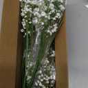 Artflower Babys Breath Artificial Flowers, 20Pcs Baby Breath Flowers Artificial Bulk, Fake White Gypsophila Babies Breath Real Touch Flowers for Wedding Bouquet Floral Arrangement Party Home Decor