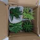 Briful Set of 4 Succulents Plants Artificial in Clear Glass Pots Small Fake Succulents Plants Mini Faux Plants Indoor for Window Sill Office Table Desk Shelf Bathroom Decor