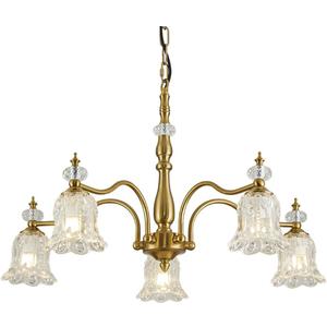 5 Lights Vintage Gold Chandelier, Elegant Rustic Chandeliers Glass Pendant Light Fixture for Dining Room Kitchen Living Room Bedroom