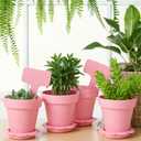 36 Packs Cupcake Plant Nursery Pots with Humidity Dome Small Flower Pots Plastic Planting Containers Cups with Saucers and Shovel for Indoor Outdoor Plant Succulent Display (Pink)