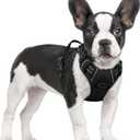 rabbitgoo Dog Harness No Pull with 2 Leash Clips, Adjustable Soft Padded, Reflective Oxford No Choke Pet Vest with Easy Control Handle for Small Dogs, Black, S