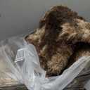 Shag Area Rugs for Bedroom Living Room,4X6 Ultra Soft Fluffy Area Rugs for Dorm,Indoor Carpet Nursery Rugs for Kids Girls Room Home Decor, Mottling Brown