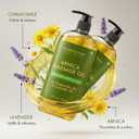 MAJESTIC PURE Arnica Sore Muscle Massage Oil for Massage Therapy-Refreshing & Relaxing-Natural Oils Lavender & Chamomile Essential Oils-All Skin Types- Men & Women Massage Lotion- 8 fl oz (Pack of 2)