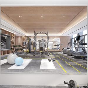48X30 2Pack Large Home Gym Mirror, Frameless Tempered Glass Dance Wall Mounted Mirror for Home, Yoga, Dancing, Studio, Living Room