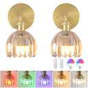 Shenmoyl Vintage Battery Operated Wall Sconce with Amber Tulip Glass Lampshade Wireless Rechargeable Battery Powered Wall Light with Remote Control for Bedside Bedroom Doorway, Set of 2