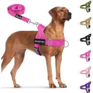 SlowTon No Pull Dog Harness - Heavy Duty Dog Harness and Leash Set for Medium Large Dogs, Reflective Tactical Harness with Soft Padded and Front Clip for Easy Walk and Training (FU, S)