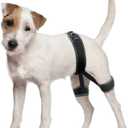 CHAMIN Dog Hip Orthotics Brace, Dog Hip Dysplasia Brace Harness, Support for Hip Dysplasia, Luxating Patella, Prevent Hip Joint Diseases and Assisted orthopedics, et(Medium)