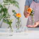 Hewory Modern Glass Bud Vase for Flower: 24PCS Blown Clear Small Vase Bulk