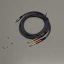 Tisino USB C to 1/4 inch Audio Cable, USB C to Dual TS Mono Cable, 6.35mm TS to Type C Y-Splitter Audio Cable for Smartphone, Tablet, Laptop Link to Amplifier, Mixing Console, Speaker - 10 Feet