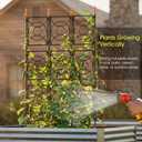 Trellis for Climbing Plants Outdoor, 24 Rifny Tall Garden Trellis Flower Rose Cucumber Trellis for Vines Pea Support, Wall Large Plant Trellis Fence with Plastic Screen Frame, 2 x 6.2 FT