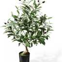 2ft Artificial Olive Tree with Pot, Tabletop Faux Plants Mini Trees for Home Office Living Room Modern Decor
