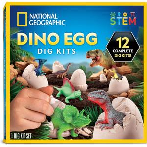 National Geographic Dinosaur Dig Kit - 12 Dino Shaped Dig Bricks with Dinosaur Figures Inside & Excavation Tool Sets, Egg Hunt or Dig Party Activity, Great STEM Toy for Boys & Girls