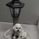 Bits and Pieces - Solar Dog Lantern-Solar Powered Garden Lantern - Resin Dog Sculpture with LED Light (Bichon) - 13.5" Tall