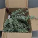 lovemoon 130 Pcs Artificial Mixed Eucalyptus Stems Bulk, 5 Kinds of Faux Greenery Eucalyptus Leaves Bulk for Vase Wedding DIY Bouquets Floral Arrangement Home Decor (130, Green)