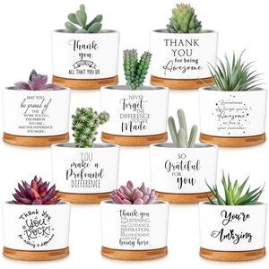 30 Pcs Succulent Plants Pots, Customer Service Week Appreciation Gift
