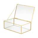 WHSLILR Vintage Glass Jewelry Box Keepsake Box with Hinged Lid and Mirrored Bottom, Great for Storage Trinket/Jewelry/Card/Photo, Gold Decorative Box for Dresser (Glod/Transparent, X-Large)