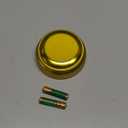 Gnatural Record Talking Button (Gold) 1