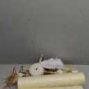 PEEKAB Cat Scratching Post 33 Inches Tall Large Sisal Scratch Posts with Track Ball Toys for Indoor Cats and Kittens, Vertical Scratcher Toy, Beige