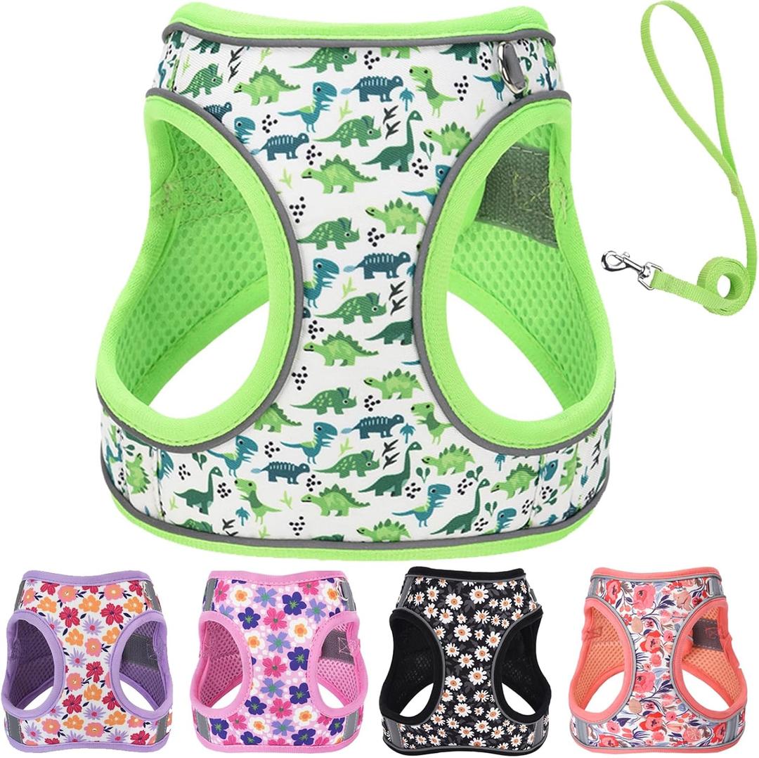 XS Dog Harness and Leash Set, Step in Dog Harness No Pull for Walking Running Training, Puppy Essentials for Dogs Cat Bunny, Adjustable Reflective Dog Vest Harness (Green, XS)