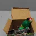 Tipmant Realistic Eelectric Birds Talking Parrots Electronic Pets Office Home Wall Desk Table Decoration Repeat What You Say Kids Toys Birthday Gifts (Green)
