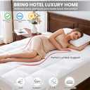 Dual Layer Goose Feather Down Mattress Topper Queen, White Feather Bed Topper, Down Mattress Protector with Straps, Pillowtop Featherbed Pad, 100% Organic Cotton Fabric (60x80 Inch)