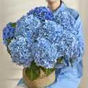 MARTINE MALL 3Pcs 21in Hydrangea Artificial Flowers, Latex Real Touch Hydrangeas Lifelike Large Hydrangea Flowers for Home Decor Party Arrangements Wedding Bouquets Centerpieces (Blue)