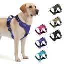 Heavy Duty Tactical Dog Harness for Medium Dogs, No Pull Dog Harness with Handle & Front Clip, Reflective Soft Padded, Hook and Loop Panel, Dog Vest for Walking, Service Training, Purple, Medium