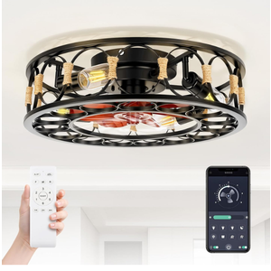 20" Caged Ceiling Fan with Lights and Remote, Low Profile Flush Mount Ceiling Fan, Enclosed Bladeless Fandelier with Silent DC Motor, Reversible 6 Speeds Industrial Farmhouse Fan Light Fixture