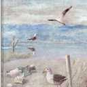 Pyradecor Bathroom Decor Blue Beach Seaside Seagull Picture Perching Bird by The Seashore Coastal Ocean Canvas Wall Art for Laundry Room Bedroom Living Room Decoration (16"L x 12"W)