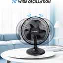 BEYOND BREEZE Oscillating Table Fan Quiet 3-Speed 12-Inch Adjustable Tilt Fan with Safety Grill, Ideal for Home, Office, Dorm, Black