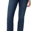 Gloria Vanderbilt Womens Amanda Classic High Rise Tapered Jean Petite (14 Short, Park City)