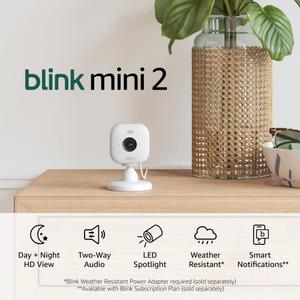 Blink Mini 2  Home Security & Pet Camera with HD video, color night view, motion detection, two-way audio, and built-in spotlight  1 camera (White)