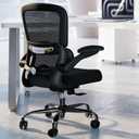 TRALT Office Chair - Ergonomic Desk Chair with Adjustable Lumbar Support, Mesh Computer Chair, Executive Chairs for Home Office Comfortable Lumbar Support (Black), Pack of 1