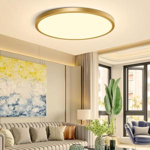 12Inch LED Ceiling Light Fixture Flush Mount, 24W(240W Equivalent), 3200LM, 3000K Warm White, IP40, Flat Modern Round Ceiling Light for Bedrooms, Living Rooms, Bathrooms, Stairwells, etc.(Gold)
