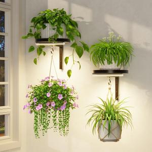 LASZOLA Plant Hangers Shelves Wall Mounted Indoor with Grow Lights, Metal Window Plant Holders, 2Pcs Modern Floating Flower Display Stand with 2 Hooks for Outdoor Kitchen Bathroom Decor, Black