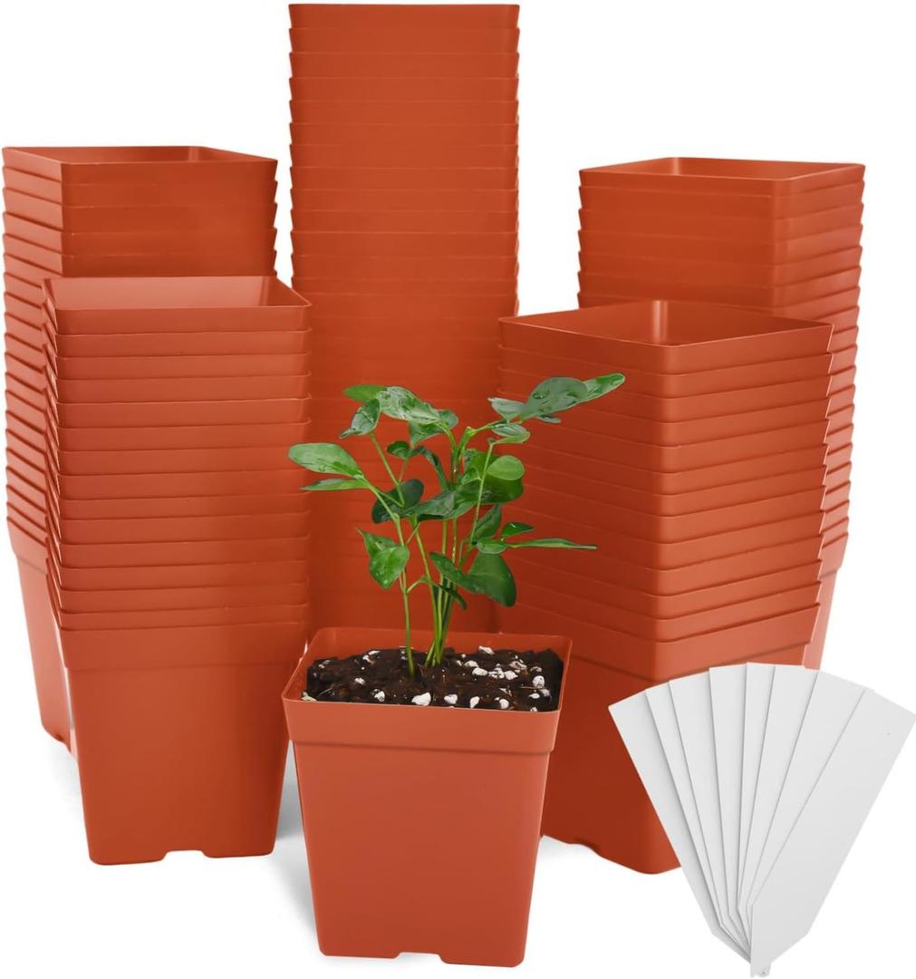 June Fox 100 Pack Red Square Nursery Pots with Drainage Holes 3.3 Inches Flexible Plastic Seedling Pots Square Pots for Plants, Succulent, Flower, with Plant Labels