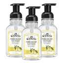 J.R. Watkins Foaming Hand Soap with Pump Dispenser, Moisturizing Foam Hand Wash, All Natural, Alcohol-Free, Cruelty-Free, USA Made, Lemon, 9 fl oz, 3 Pack