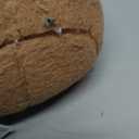 Heatable & Coolable Capybara Plush, Microwavable Stuffed Animal Heating Pad for Soothing & Relaxation, Lavender Scent Plush Toys for Stress Relief, Capybara Plushies Gift for Kids & Adults