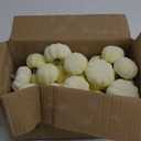 Winlyn 48 Pcs Mini Artificial Pumpkins Faux Cream Baby Boo Pumpkins Foam Pumpkins 1.8" 2.1" for Fall Harvest Thanksgiving Table Centerpiece Halloween Autumn Wedding Baby Shower Wreath Bowl Fillers (White)