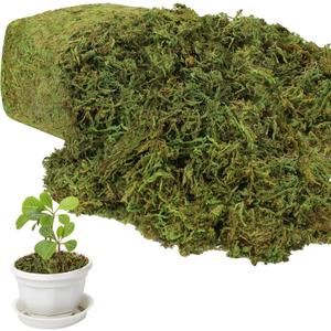 YUNVI 35 OZ Large Capacity Artificial Moss for Potted Plants,Natural Fake Moss Grass for Plants Indoor,Craft and Greenery Bulk for Hamsters(Fresh Green)