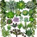 Winlyn 22 Pcs Bulk Artificial Succulents Plants Unpotted Small Aloe Hanging String of Pearls Cactus Green Fake Succulents for Succulent Garden Arrangement Centerpiece Wall Indoor Outdoor Home Decor