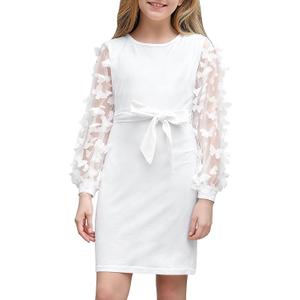 ALISISTER Girls Dresses Mesh Puff Long Sleeve Dress with Butterflies 7-16 Years (13-14 Years, 01 White)