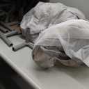 Baby Playpen Baby Playard, Play Pen for Babies and Toddlers with Gate, 50x50 Fence, Sturdy Safety Playpen, Indoor & Outdoor Kids Activity Center (Grey)