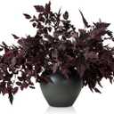 Lyrow 10 Pack 18 Inches Artificial Cimicifuga Plant Leaf Spray Faux Plum Cimicifuga Ramosa Leaf Branch Faux Fall Spray Silk Plants for Home Vase Wedding Garden Farmhouse Table Mantel Decor