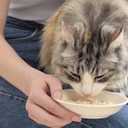 2 x INABA Chicken Broth, Side Dish/Topper for Cats with Vitamin E, 1.76 Ounce Pouch, 8 Pouches Total, Chicken and Salmon Recipe (EXP 02/03/26)