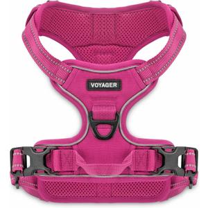 Voyager Dog Harness Dual Leash Attachment No-Pull Control Adjustable Soft but Strong Pet Harness for Medium and Large Dogs with 3M Reflective Technology, Fuchsia Nylon, L (Chest: 25-30")