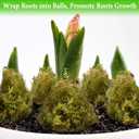 Halatool 4.4LB Green Forest Moss Natural Sphagnum Moss for Plants Fluffy Orchid Moss for Orchids Repotting Dried Plant Moss for Potted Plants Indoor & Outdoor