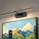 Battery Operated Picture Light with Wireless Remote 3CCT Dimmable Black Wall Art Lights for Paintings Rechargeable Home Decor Gallery Light 16'' Artwork Lighting for Canvas Timer Function (20 inches)